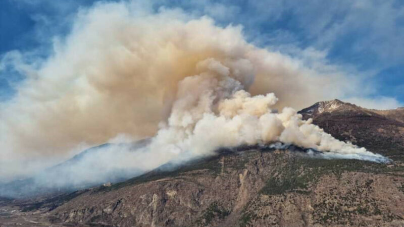 Großer Waldbrand im Südtiroler Vinschgau noch nicht unter Kontrolle