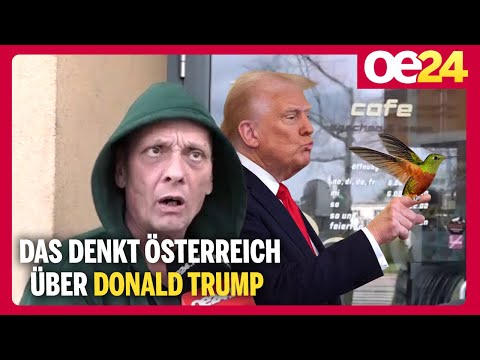 “Der hat einen Vogel” | Das denkt Österreich über Donald Trump