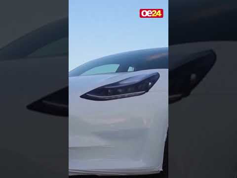 US-Zölle treffen jetzt sogar Musk hart