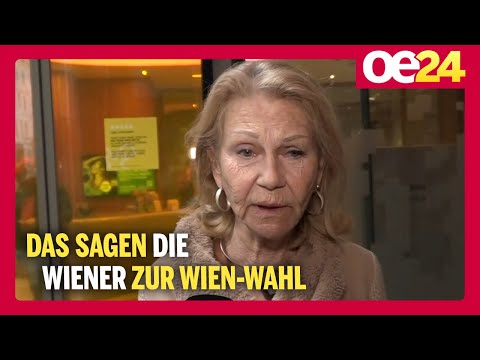 Das sagen die Wiener zur Wien-Wahl