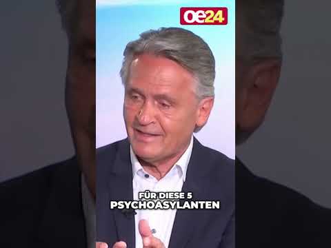 Wien: Psycho-Asylanten kosten Millionen Steuergelder!