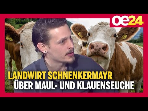 Landwirt Schenkenmayr über die Gefahr der Maul- und Klauenseuche