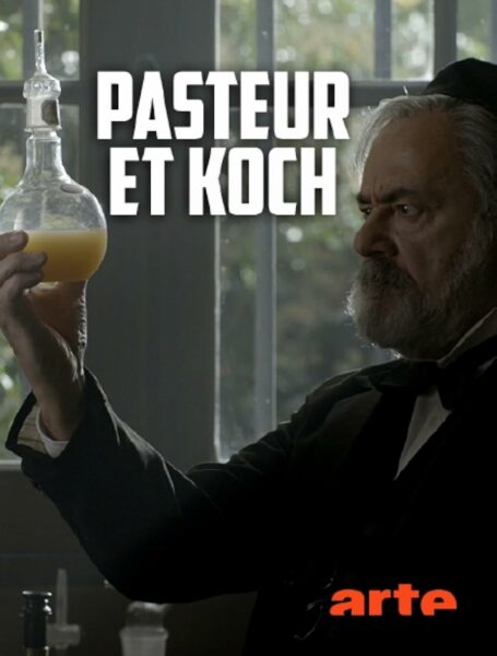 Im Reich der Mikroben
