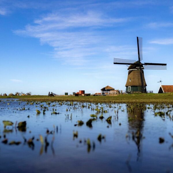 Klimawandel: Was man im tiefsten Land Europas tut, wenn das Wasser steigt