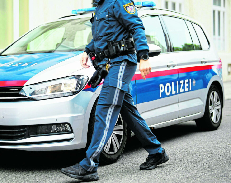 Kurioser Vorfall: Stiere rissen aus, Einsatz mit Kran nötig