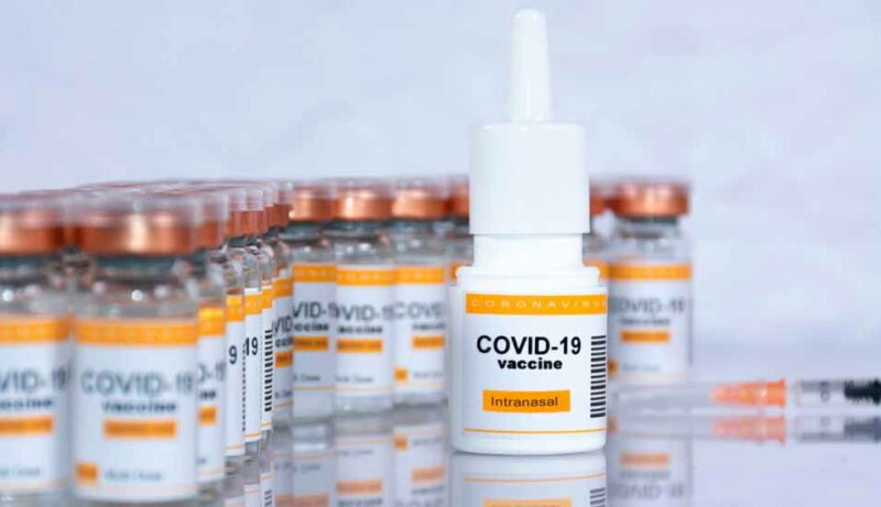 Nasaler Covid-19-Lebendimpfstoff erfolgreich im Tierversuch