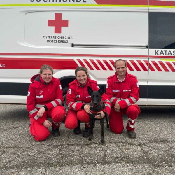 Rettung in NÖ: Rotkreuz-Suchhund “Fanny” fand vermisste Frau