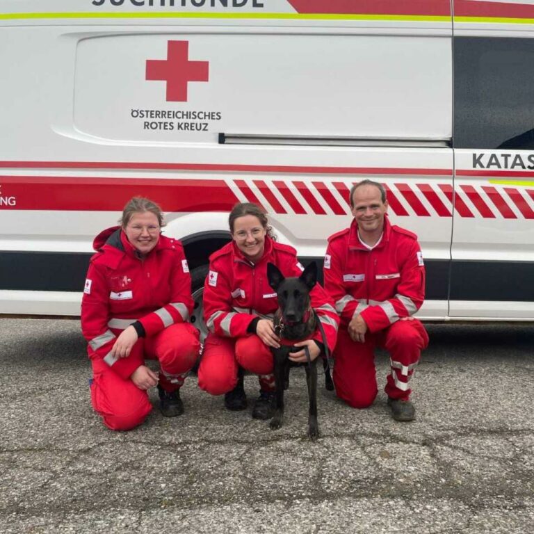 Rettung in NÖ: Rotkreuz-Suchhund “Fanny” fand vermisste Frau