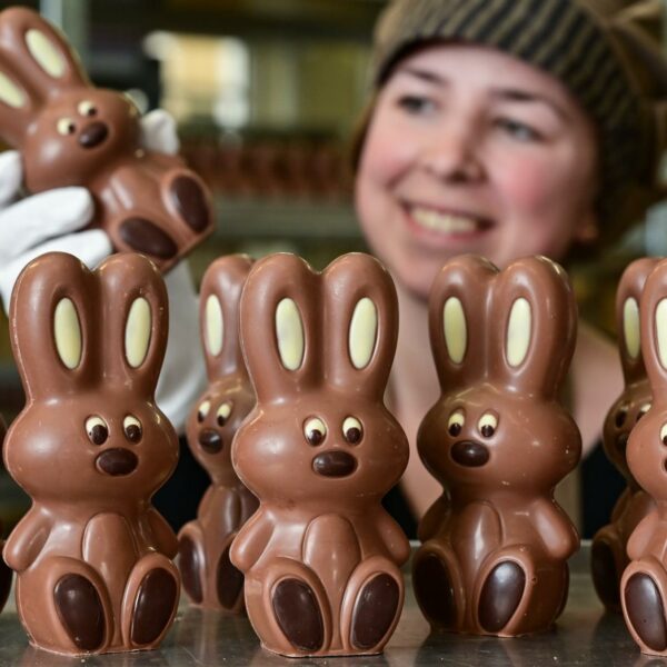 Schokolade ohnehin teuer: Als Osterhase nochmal deutlich teurer