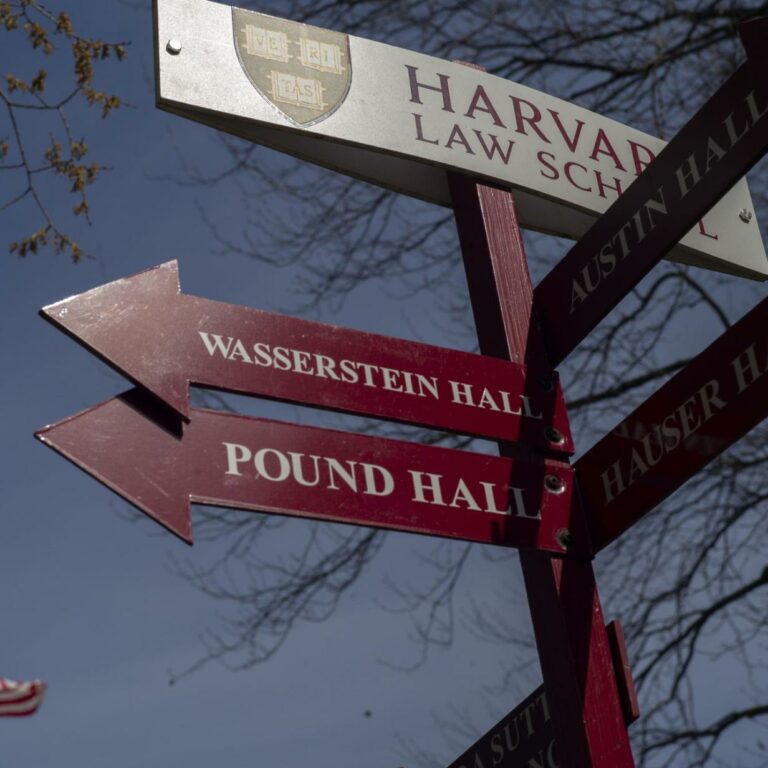 Trump wütet und den weltbesten Universitäten geht der Saft aus