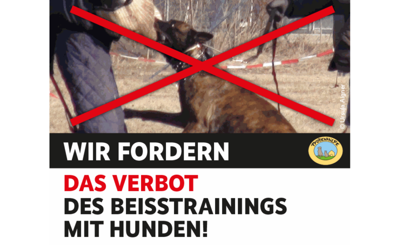 Verbot von Beißtrainings: Der Kampf mit dem Hund