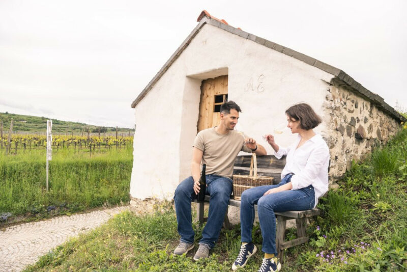 Weinfrühling im Kamptal, Kremstal & Traisental – Eintritte gewinnen!