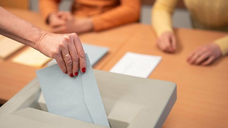 Wienwahl 2025: Dem geschichtsträchtigen Datum alle Ehre machen