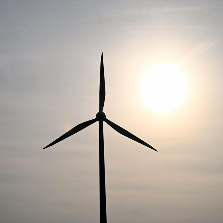 Energiewende: Wohin sollen Wind- und PV-Parks gebaut werden?