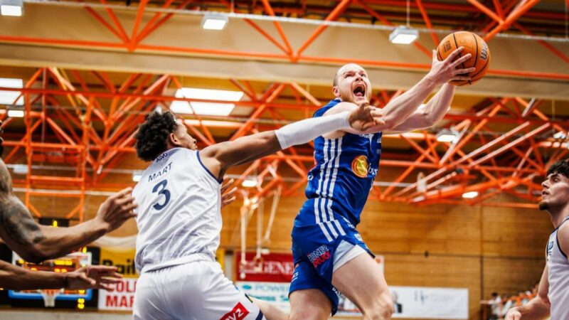 Gunners lassen starken Dragonz auch in Spiel zwei keine Chance