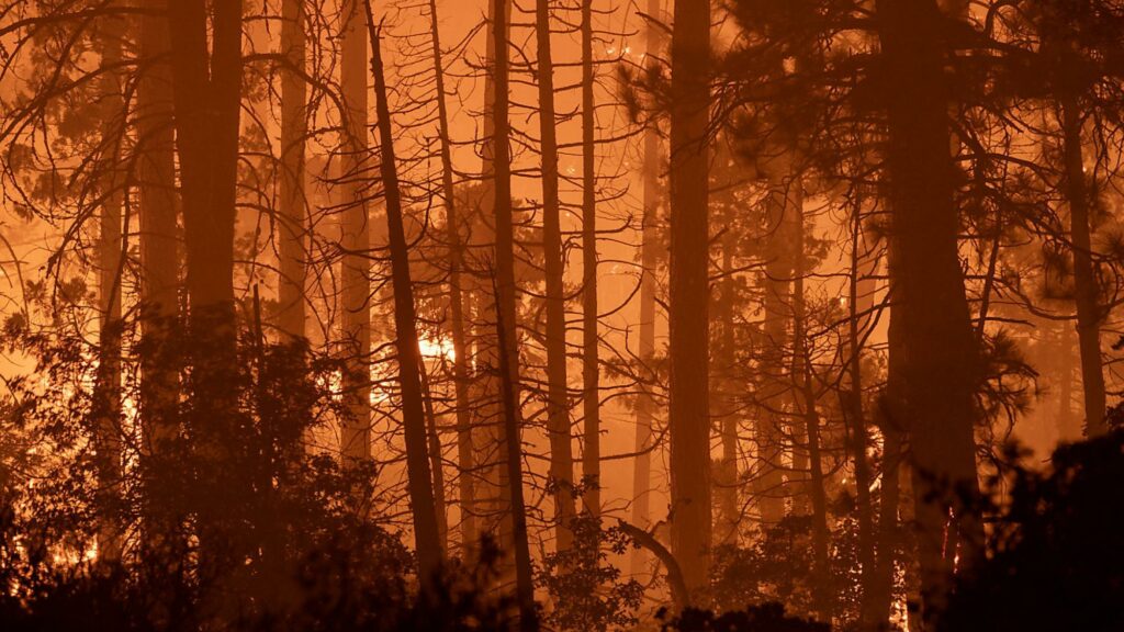 Heftige Waldbrände in Kanada: Mehr als 17.000 Menschen evakuiert Heftige Waldbrände in Kanada: Mehr als 17.000 Menschen evakuiert