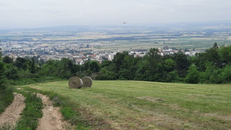 Landeshauptstadt will Grünflächen besser schützen