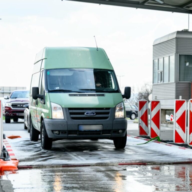 Maul- und Klauenseuche: Lockerungen bei Maßnahmen ab Mitternacht