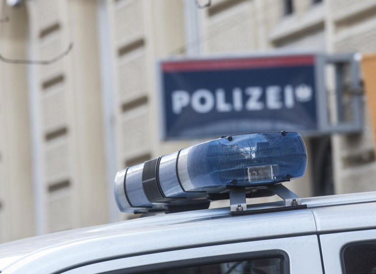 Schüler schoss in Wien-Döbling mehrfach in den Boden