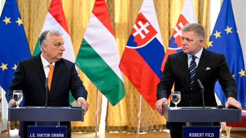 Was Populisten im Orban- und Fico-Stil versprechen – aber nicht liefern können