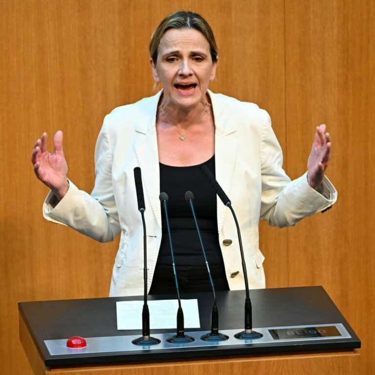 Belakowitsch über Massengräber: “Da habt ihr viel Spaß gehabt, gell?”