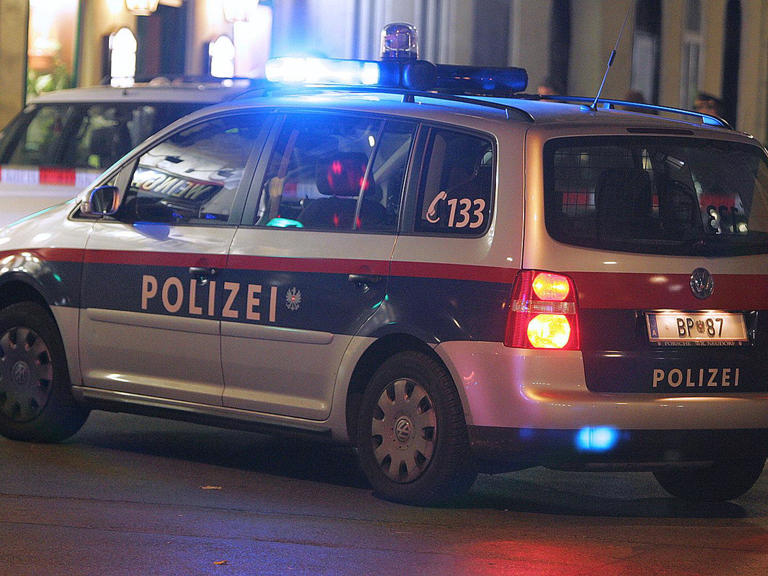 Fahrradkontrolle eskalierte: Zwei verletzte Polizisten