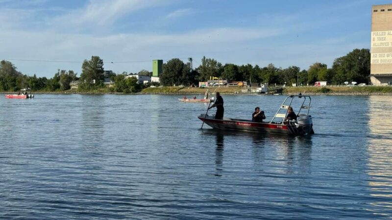 Frau bei Korneuburg in die Donau gestürzt: Suche läuft