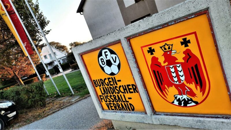 Fußballverband zeigt Ex-Präsident Pangl an