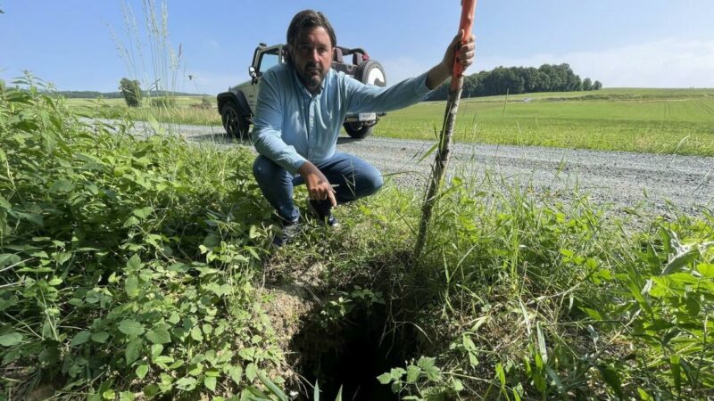 “Gefahr in Verzug”: Bürgermeister gegen Biber und das Land