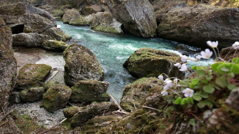 Gerüchte um Sprengungen in Erlaufschlucht erhitzen die Gemüter