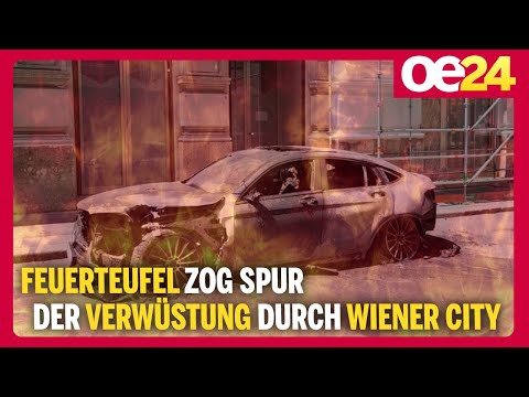 Feuerteufel zog Spur der Verwüstung durch Wiener City