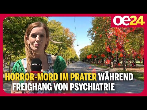 Horror-Mord im Prater während Freighang von Psychiatrie!
