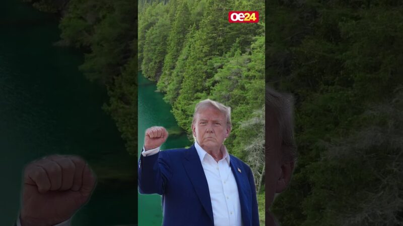 Jetzt will Trump auch niederländische Bäume mit nach Hause nehmen.