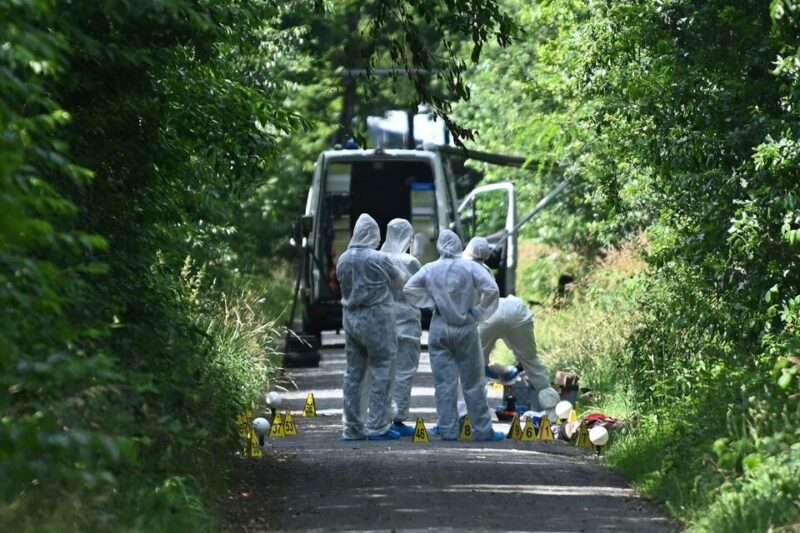 Jugendlicher stellt sich: Tote Frau und Kleinkind an Waldweg gefunden