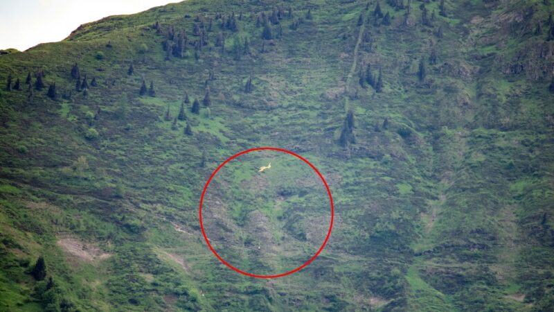 Kitzbüheler Horn: Urlauber in den Tod gestürzt