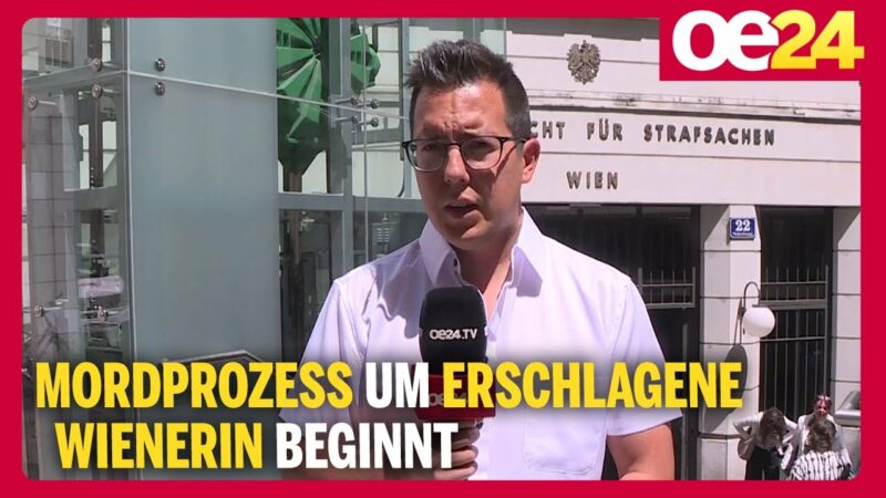 Mordprozess um erschlagene Wienerin beginnt