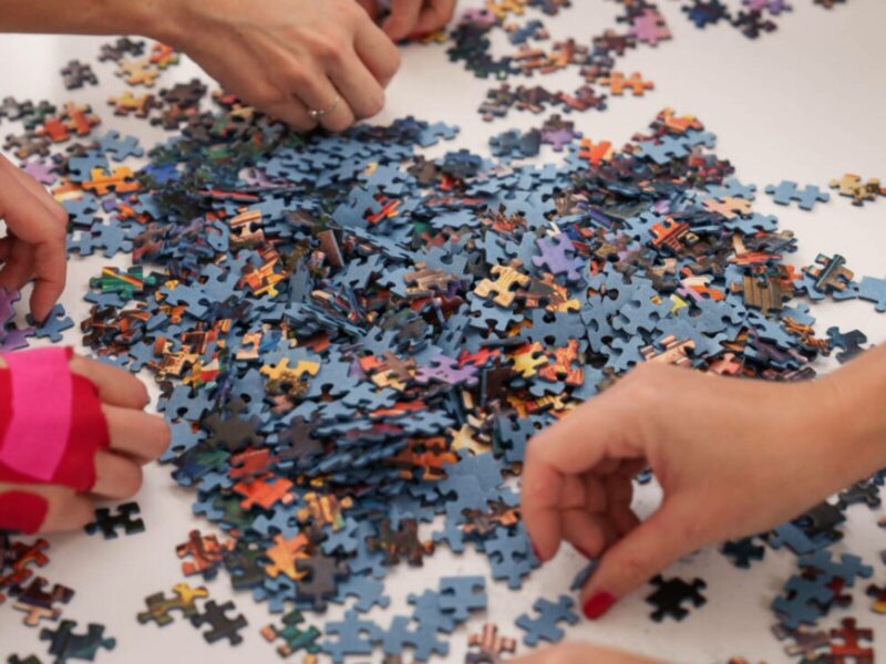 Neue österreichische Meisterin im Schnellpuzzeln gekürt