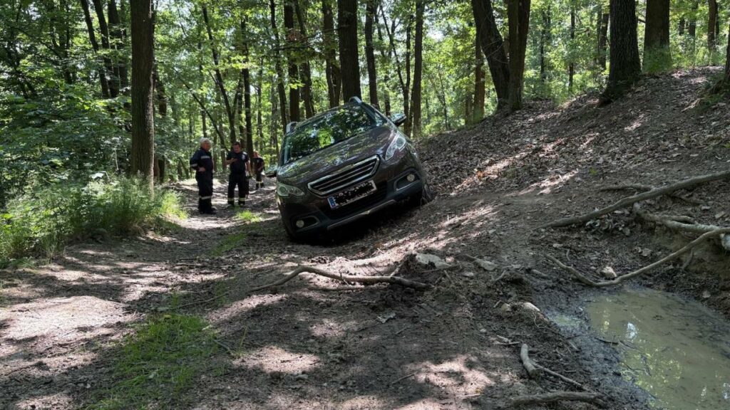Panne in NÖ: Lenkerin folgte Navi und landete im Retzer Wald