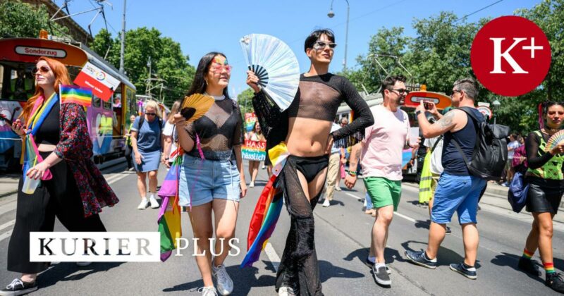Pride-Monat: Wie es die Parteien mit der Diversität halten