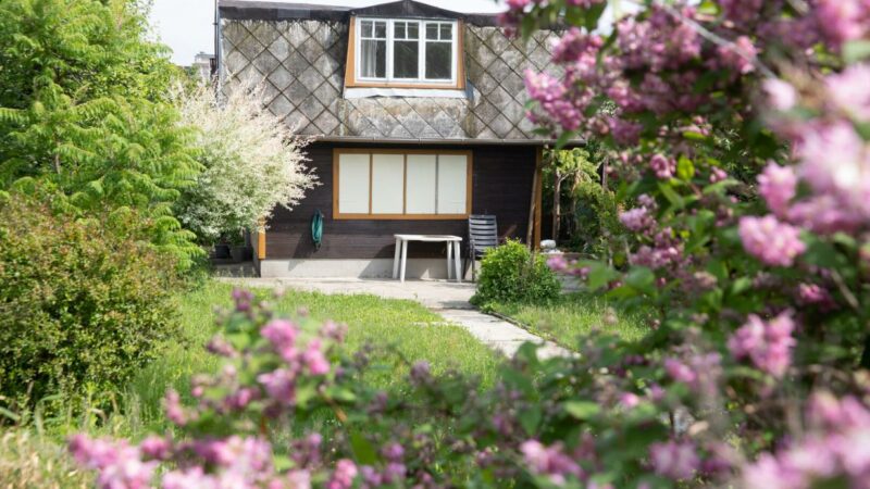 Private Schrebergärten in Wien: Kleines Glück mit großen Preisen