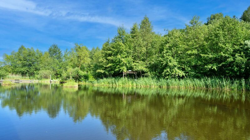 Schutz der Feuchtgebiete soll Schrems den Titel „Wetland City“ bringen