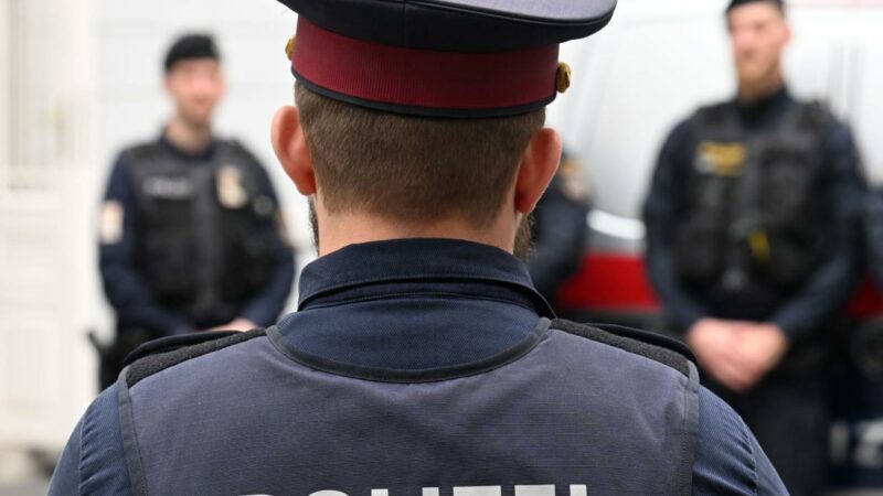 Selfie entlarvte Handydieb in Wien-Simmering