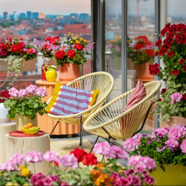 Sommer zuhause genießen: Die besten Ideen für Garten, Balkon & Wohnung
