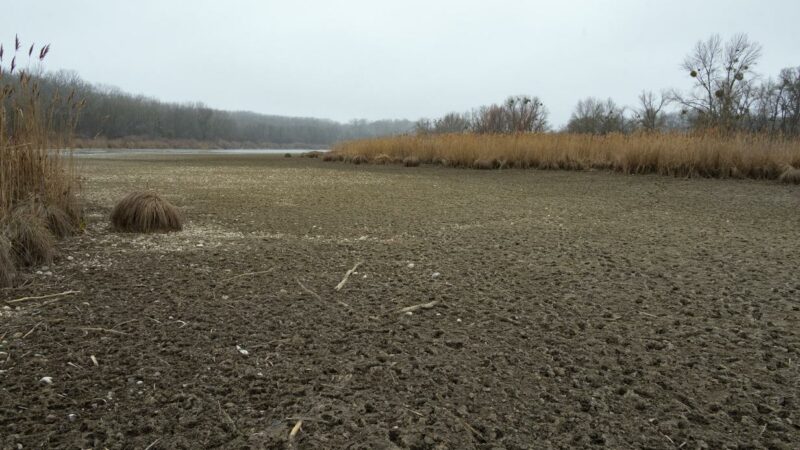 Stadt Wien prüft Zuleitung von Wasser in die Untere Lobau