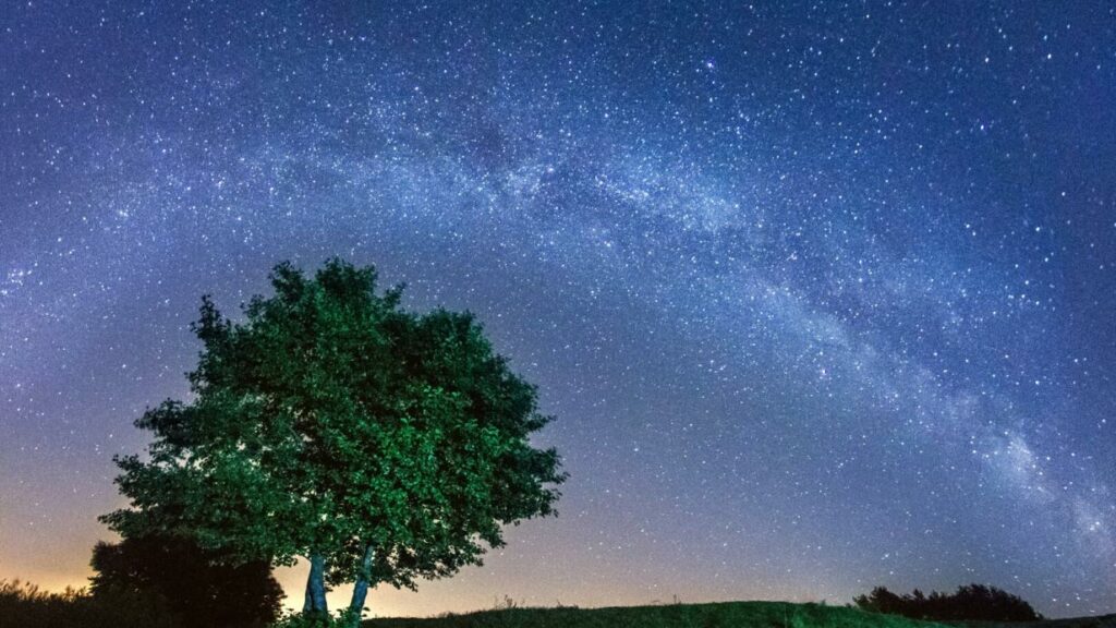 Sternenschau im Juni Jupiter im Krebs – Zeit für Verbundenheit