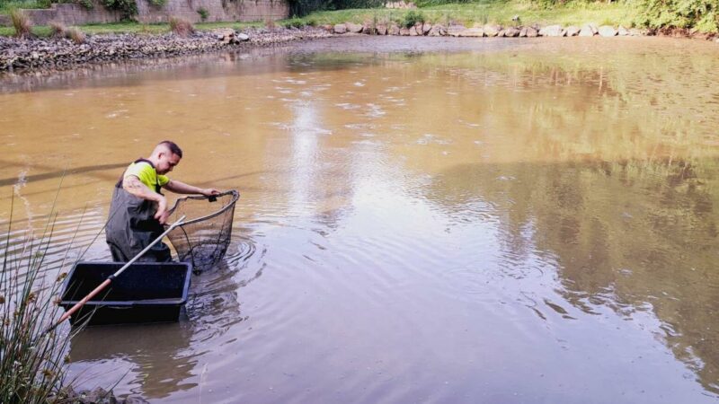 Teich ohne Wasser: Feuerwehr verhindert Fischsterben