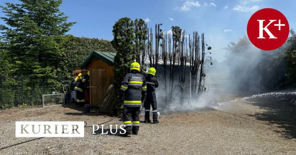 Thujenhecke und Gartenhütte standen in Mittergrabern in Flammen