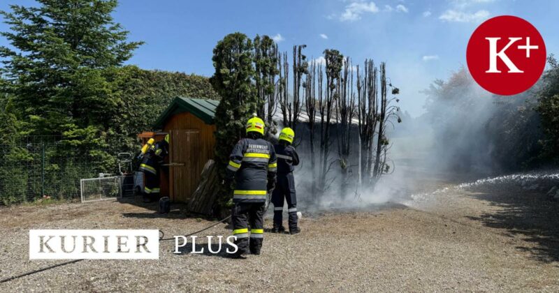 Thujenhecke und Gartenhütte standen in Mittergrabern in Flammen