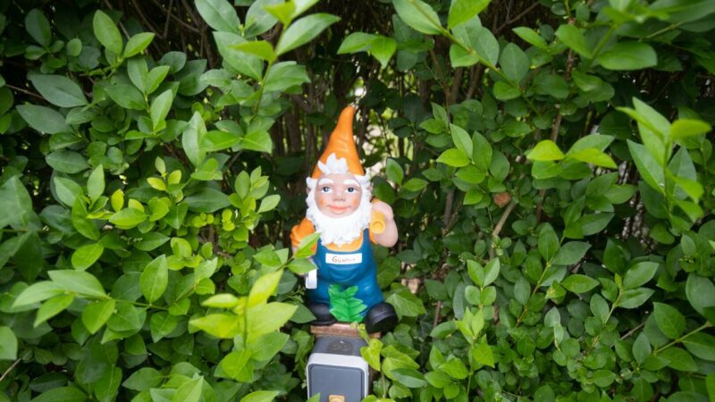 Warum Ottakring bei Kleingärten so teuer ist