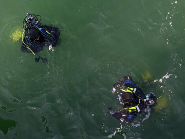 Badeunfall: Mann im Strandbad Alte Donau von Feuerwehrtauchern gerettet